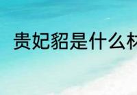 贵妃貂是什么材质 贵妃貂是何材质