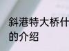 斜港特大桥什么时候修剪好 斜港大桥的介绍