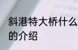 斜港特大桥什么时候修剪好 斜港大桥的介绍
