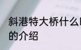 斜港特大桥什么时候修剪好 斜港大桥的介绍