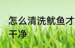 怎么清洗鱿鱼才更干净 鱿鱼怎么清理干净