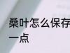 桑叶怎么保存久一点 桑叶如何保存久一点