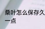 桑叶怎么保存久一点 桑叶如何保存久一点