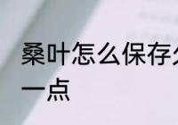 桑叶怎么保存久一点 桑叶如何保存久一点