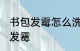 书包发霉怎么洗掉霉斑 如何解决书包发霉