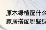 原木绿植配什么植物好看 原木风格的家居搭配哪些绿植