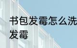 书包发霉怎么洗掉霉斑 如何解决书包发霉