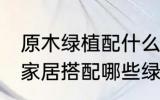 原木绿植配什么植物好看 原木风格的家居搭配哪些绿植