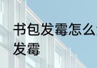 书包发霉怎么洗掉霉斑 如何解决书包发霉