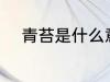 青苔是什么意思 青苔意思是什么