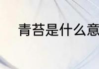 青苔是什么意思 青苔意思是什么