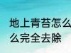 地上青苔怎么去掉 水泥地面长青苔怎么完全去除