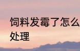 饲料发霉了怎么处理 饲料发霉了如何处理