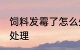 饲料发霉了怎么处理 饲料发霉了如何处理