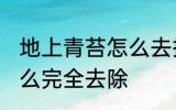 地上青苔怎么去掉 水泥地面长青苔怎么完全去除