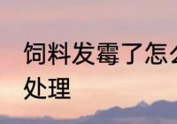 饲料发霉了怎么处理 饲料发霉了如何处理