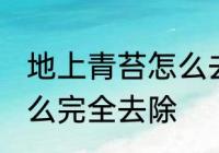 地上青苔怎么去掉 水泥地面长青苔怎么完全去除