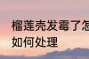 榴莲壳发霉了怎么处理 榴莲壳发霉了如何处理