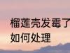 榴莲壳发霉了怎么处理 榴莲壳发霉了如何处理