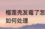 榴莲壳发霉了怎么处理 榴莲壳发霉了如何处理