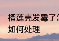 榴莲壳发霉了怎么处理 榴莲壳发霉了如何处理