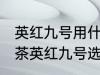 英红九号用什么壶泡最好 冲泡英德红茶英红九号选什么样的茶具呢