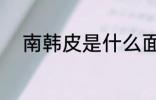 南韩皮是什么面料 什么是南韩皮