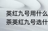 英红九号用什么壶泡最好 冲泡英德红茶英红九号选什么样的茶具呢