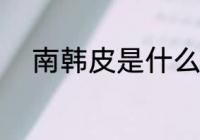 南韩皮是什么面料 什么是南韩皮