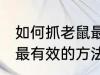 如何抓老鼠最有效的方法 哪种抓老鼠最有效的方法