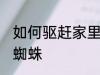 如何驱赶家里的蜘蛛 怎么驱赶家里的蜘蛛