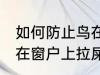 如何防止鸟在窗户上拉屎 怎么防止鸟在窗户上拉屎