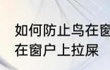 如何防止鸟在窗户上拉屎 怎么防止鸟在窗户上拉屎