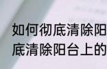 如何彻底清除阳台上的蜘蛛网 怎么彻底清除阳台上的蜘蛛网