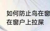 如何防止鸟在窗户上拉屎 怎么防止鸟在窗户上拉屎