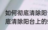 如何彻底清除阳台上的蜘蛛网 怎么彻底清除阳台上的蜘蛛网