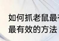 如何抓老鼠最有效的方法 哪种抓老鼠最有效的方法