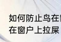 如何防止鸟在窗户上拉屎 怎么防止鸟在窗户上拉屎