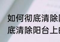 如何彻底清除阳台上的蜘蛛网 怎么彻底清除阳台上的蜘蛛网