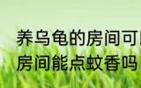 养乌龟的房间可以点蚊香吗 养乌龟的房间能点蚊香吗