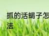 抓的活蝎子怎么处理 处理活蝎子的方法