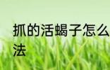 抓的活蝎子怎么处理 处理活蝎子的方法