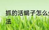 抓的活蝎子怎么处理 处理活蝎子的方法