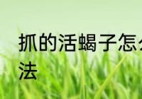 抓的活蝎子怎么处理 处理活蝎子的方法
