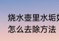 烧水壶里水垢如何清洗 烧水壶的水垢怎么去除方法