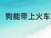 狗能带上火车吗 狗可以带上火车吗