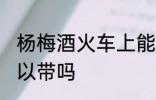 杨梅酒火车上能带吗 杨梅酒火车上可以带吗