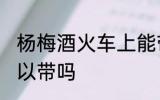 杨梅酒火车上能带吗 杨梅酒火车上可以带吗