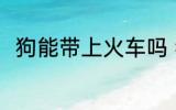 狗能带上火车吗 狗可以带上火车吗