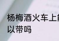 杨梅酒火车上能带吗 杨梅酒火车上可以带吗